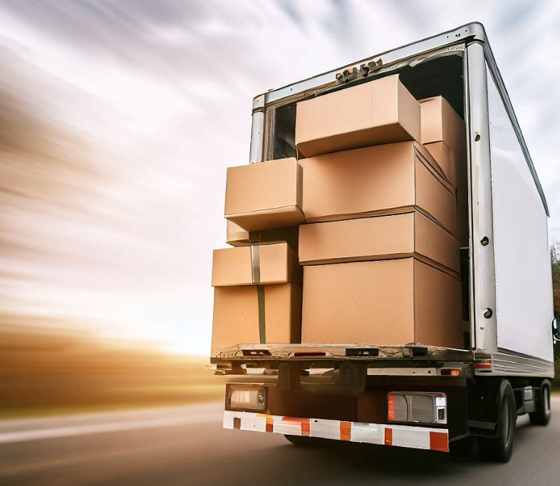 The Role of Professional Movers